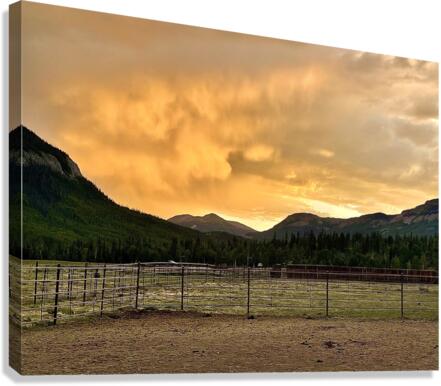  Cotton candy Fire  Canvas Print