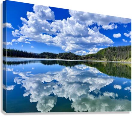 Big reflections  Canvas Print