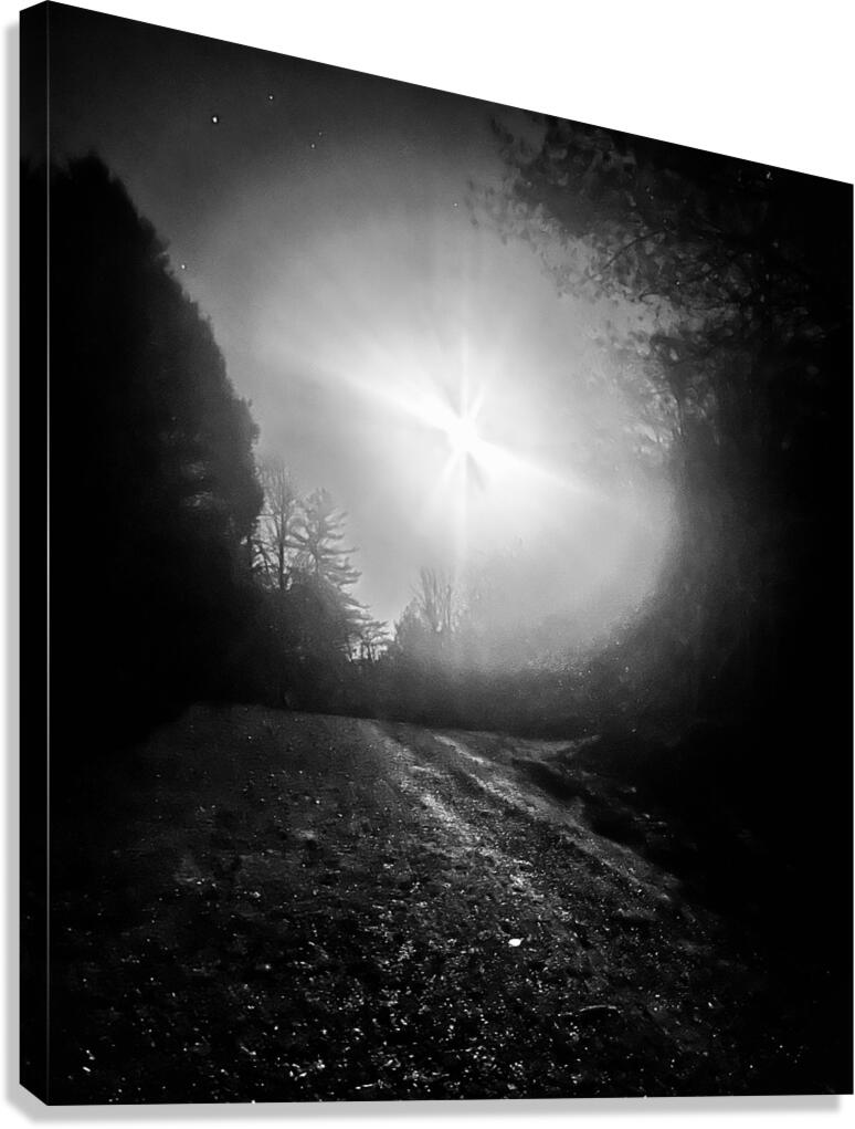 Moonshadow Dance Canvas Print