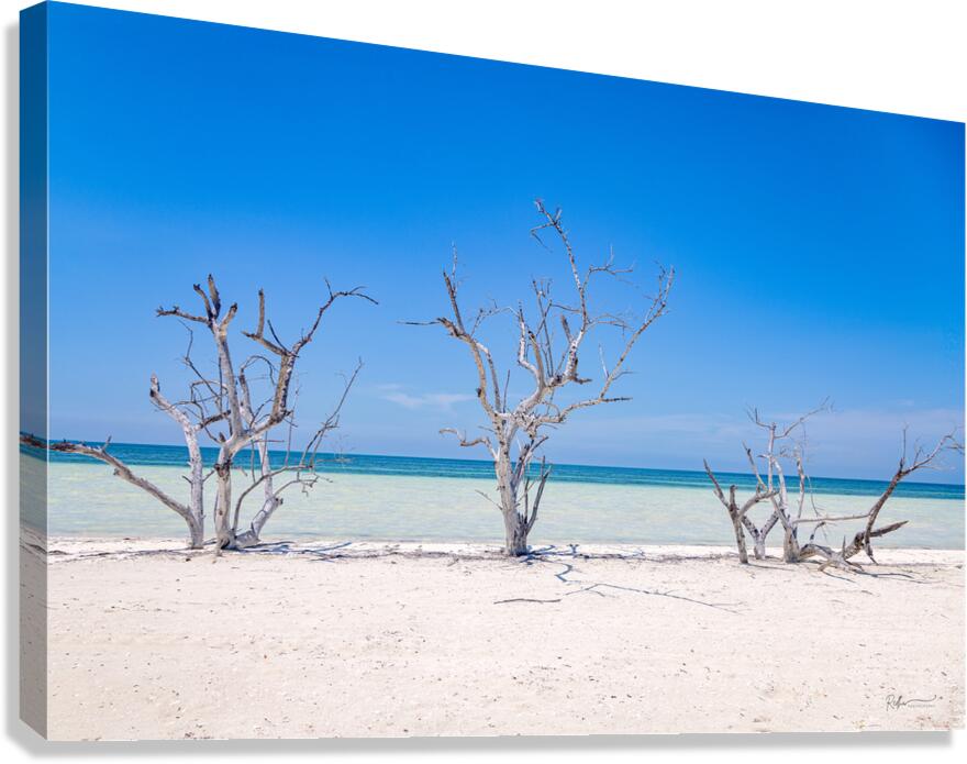 2B2A8284 Modifier Canvas Print