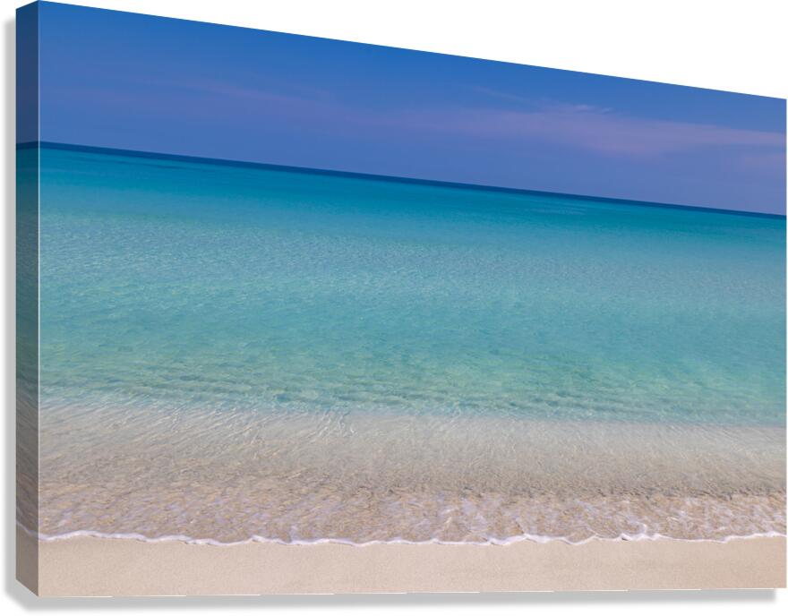 2B2A7539 Canvas Print