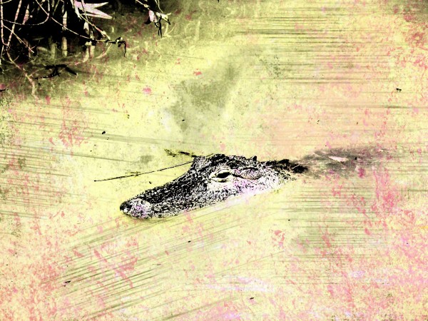 Lurking Print