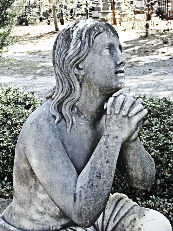 Pleading by Maria Dale