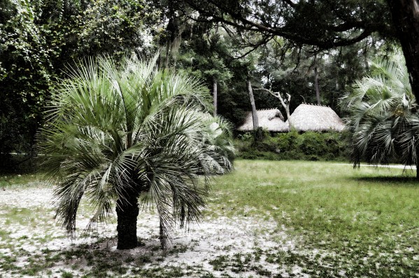 Secluded Print