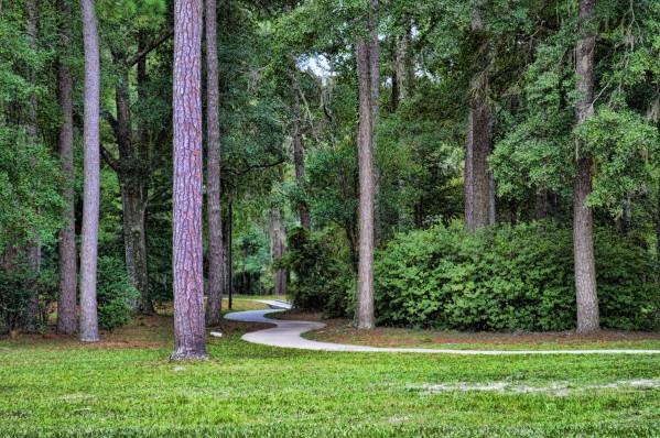 Winding Path Print