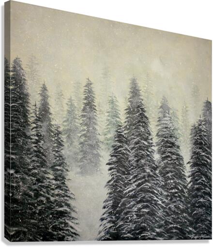 Pine Tree Vermont  Canvas Print
