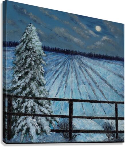 Silent Night Canvas Print