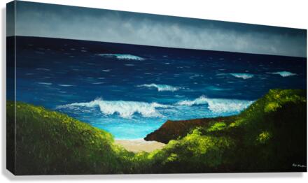 Hiding Place Canvas Print