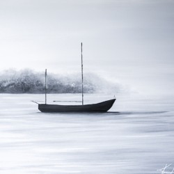 FOG AT SEA