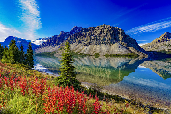 Bow Lake 4 Banff... AB Ray Wiens by Ray Wiens