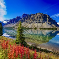 Bow Lake 4 Banff... AB Ray Wiens