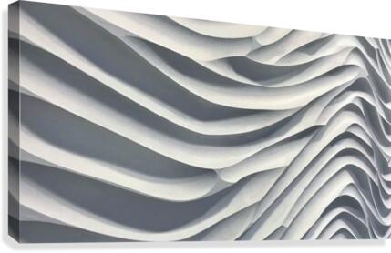 SF121 Canvas Print