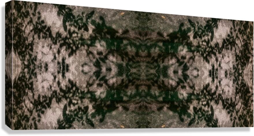 HR022 Canvas Print