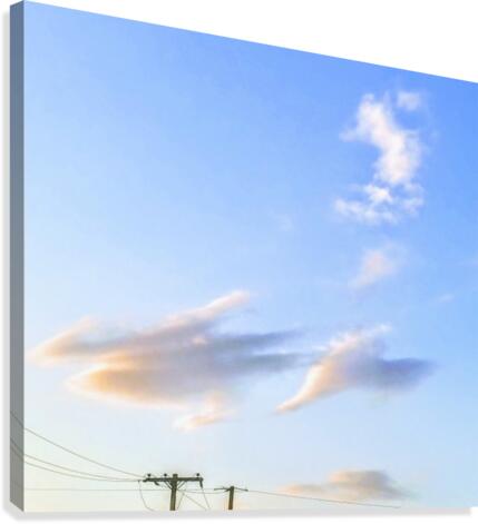 HR041 Canvas Print
