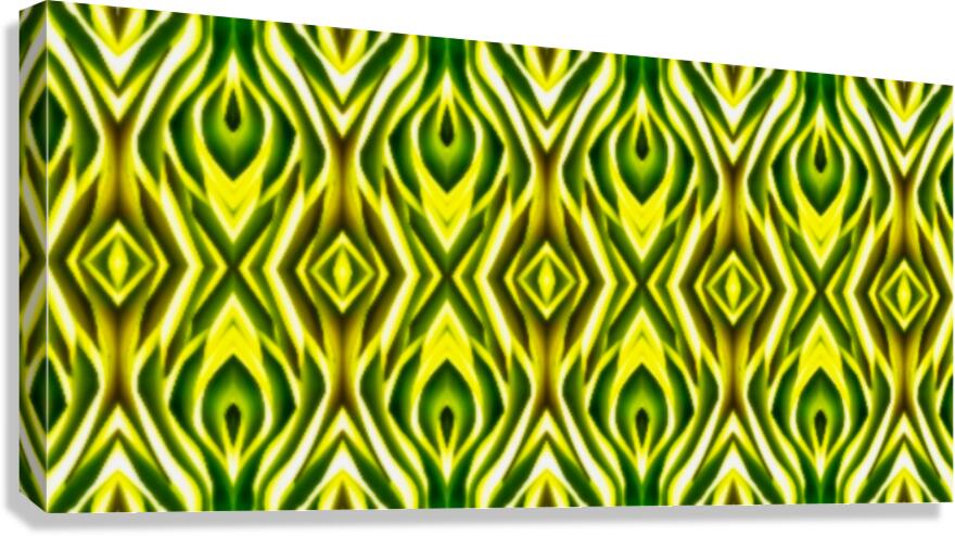 SF118 Canvas Print