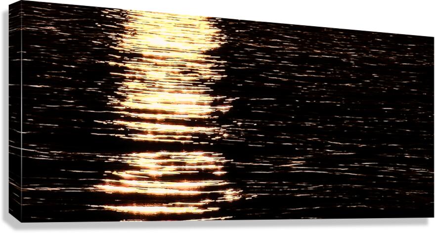 Onyx Cascade Canvas Print