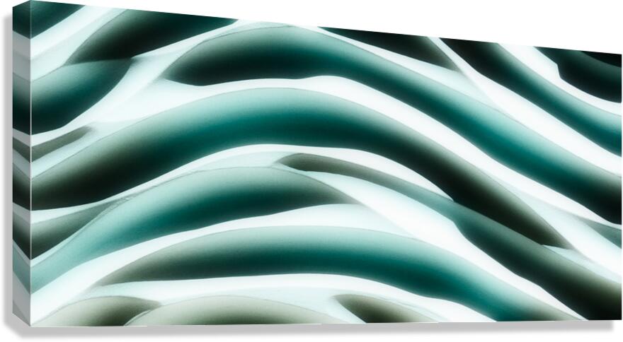 SF117 Canvas Print