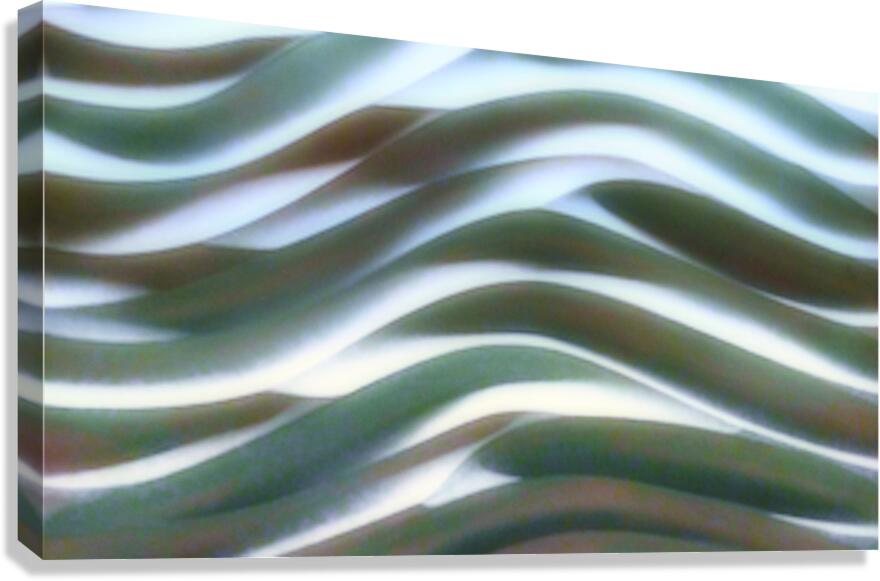 SF123 Canvas Print