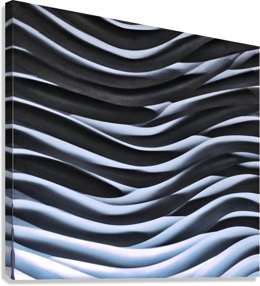 SF124 Canvas Print
