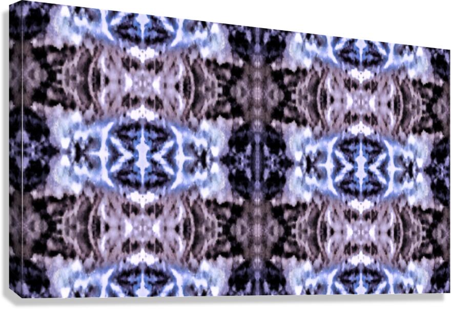 OZ225 Canvas Print