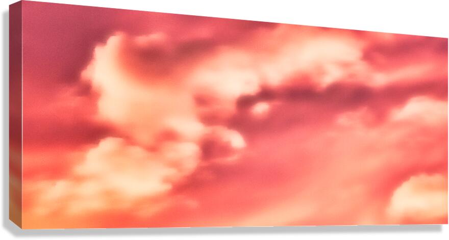 HR031 Canvas Print