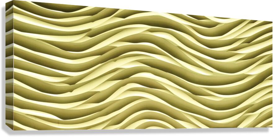 SF110 Canvas Print