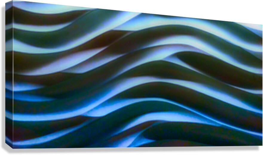 SF103 Canvas Print