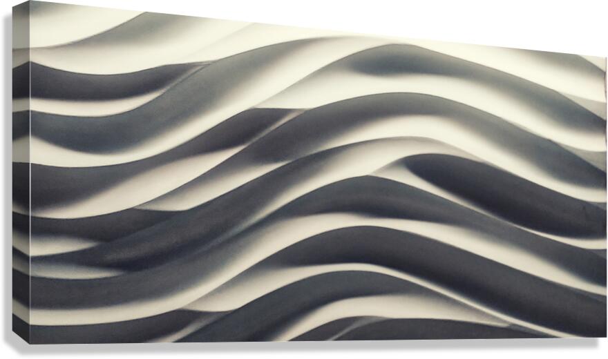 SF135 Canvas Print
