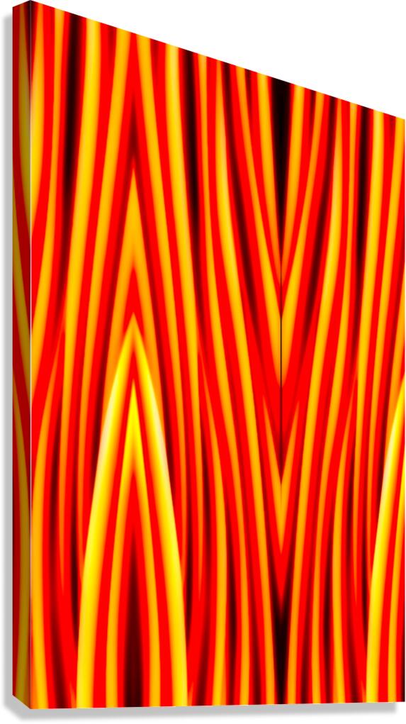 SF142V Canvas Print