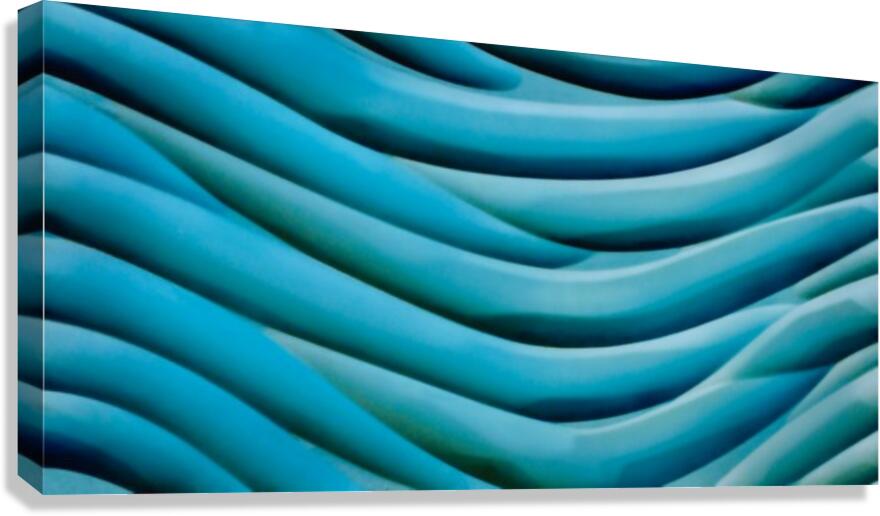 SF105  Canvas Print