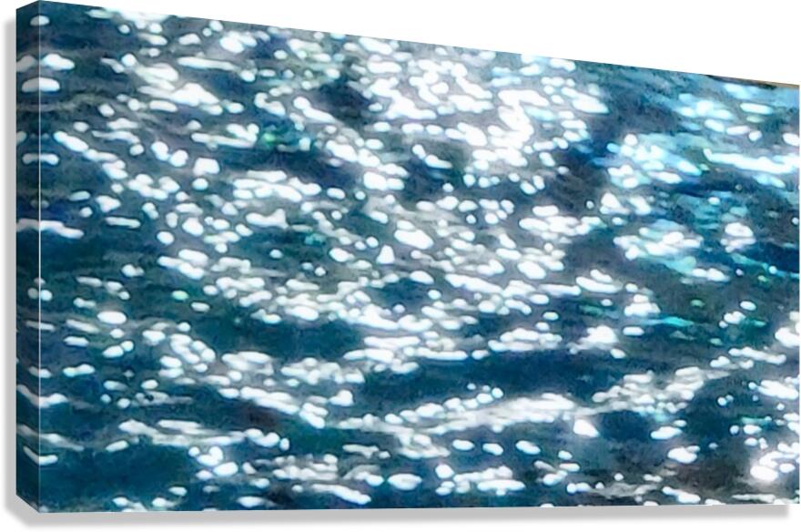 OZ251 Canvas Print
