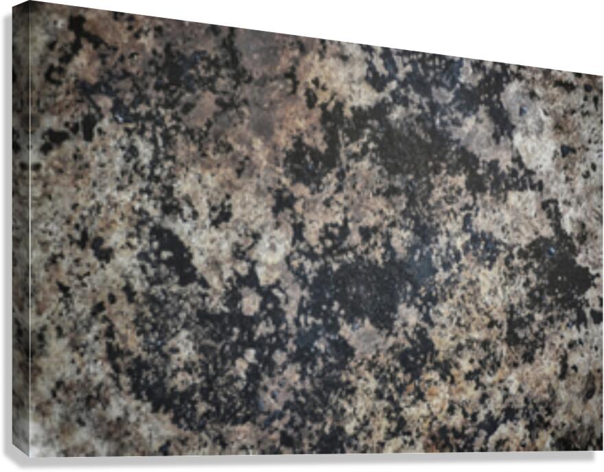 HR011 Canvas Print