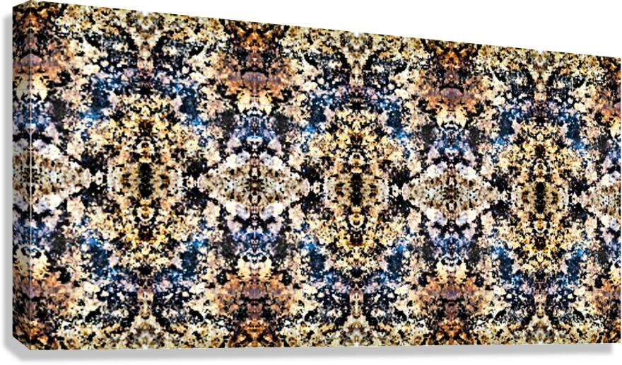 SF133 Canvas Print