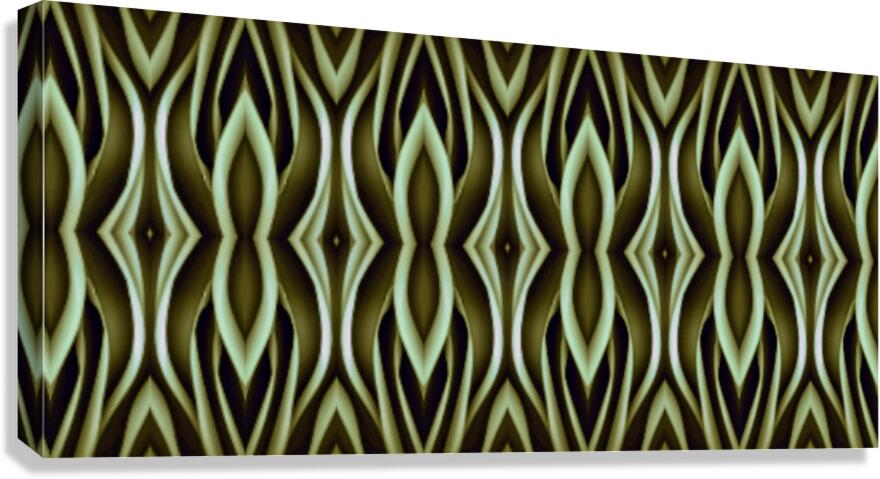 OZ254 Canvas Print
