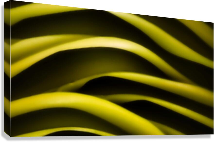 SF155 Canvas Print