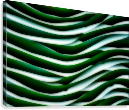 SF147 Canvas Print