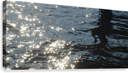 SF131 Canvas Print