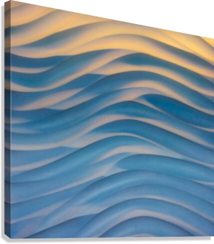 SF142 Canvas Print