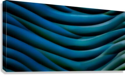 SF105 Canvas Print