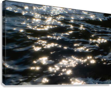 HR003 Canvas Print
