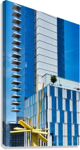 OZ208V Canvas Print