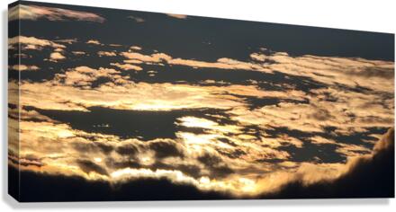 HR009 Canvas Print