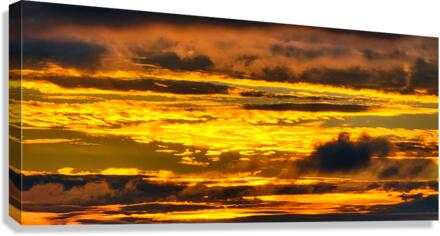 HR001 Canvas Print