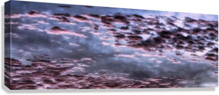 HR013 Canvas Print