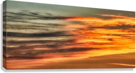 HR002 Canvas Print