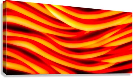 SF112 Canvas Print