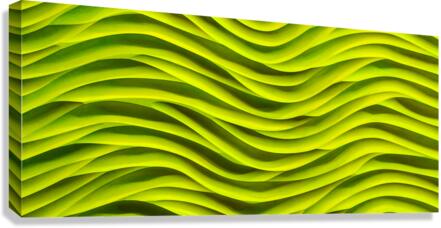 SF134 Canvas Print