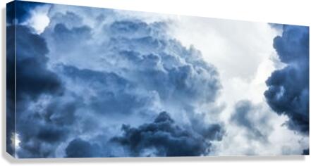 HR017 Canvas Print