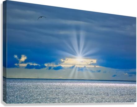 OZ228 Canvas Print