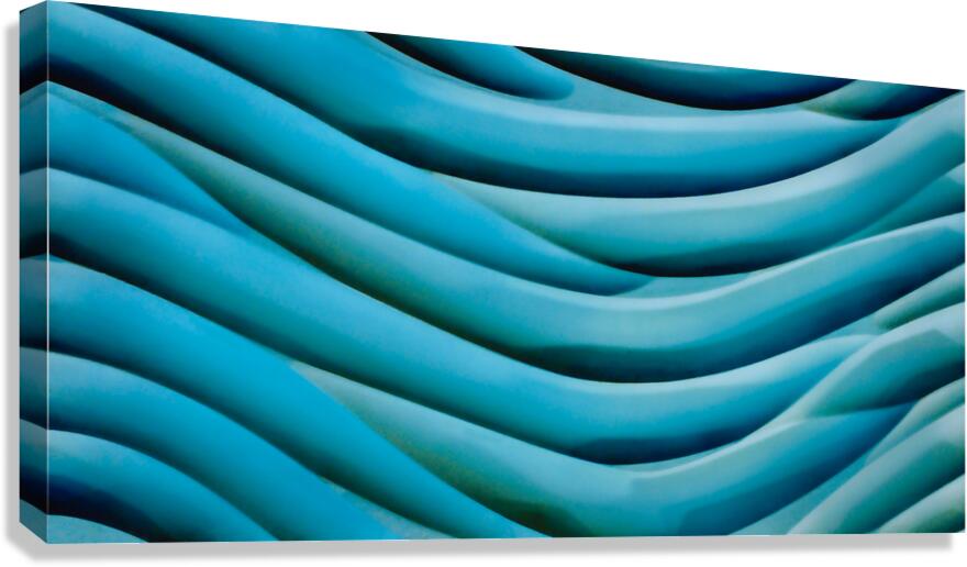 SF 127 Canvas Print
